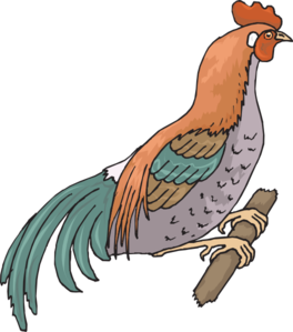 Perched Chicken Clip Art